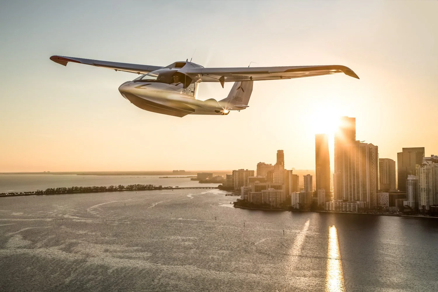 Icon Aircraft For Sale